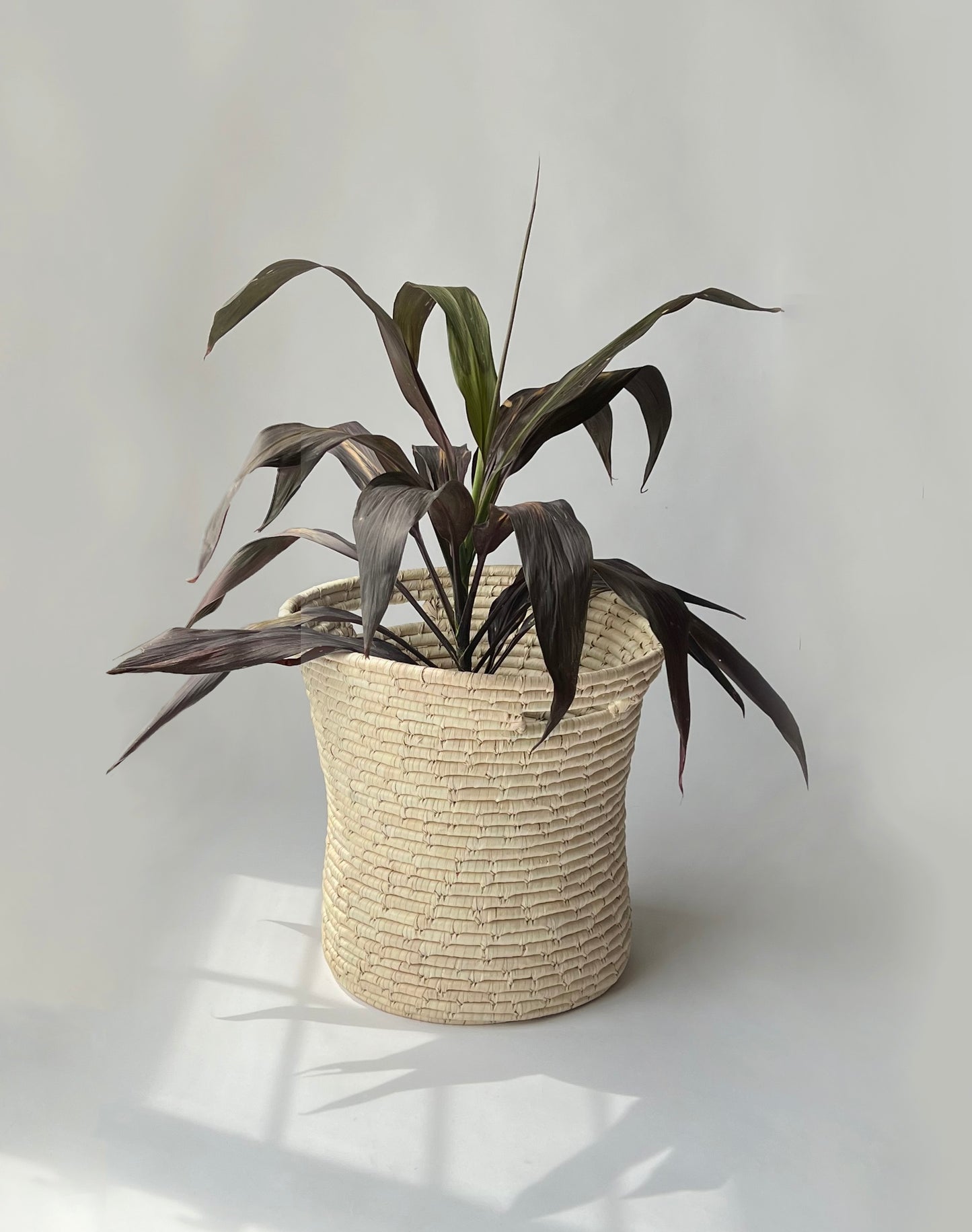 Handwoven Palm Leaf Planter