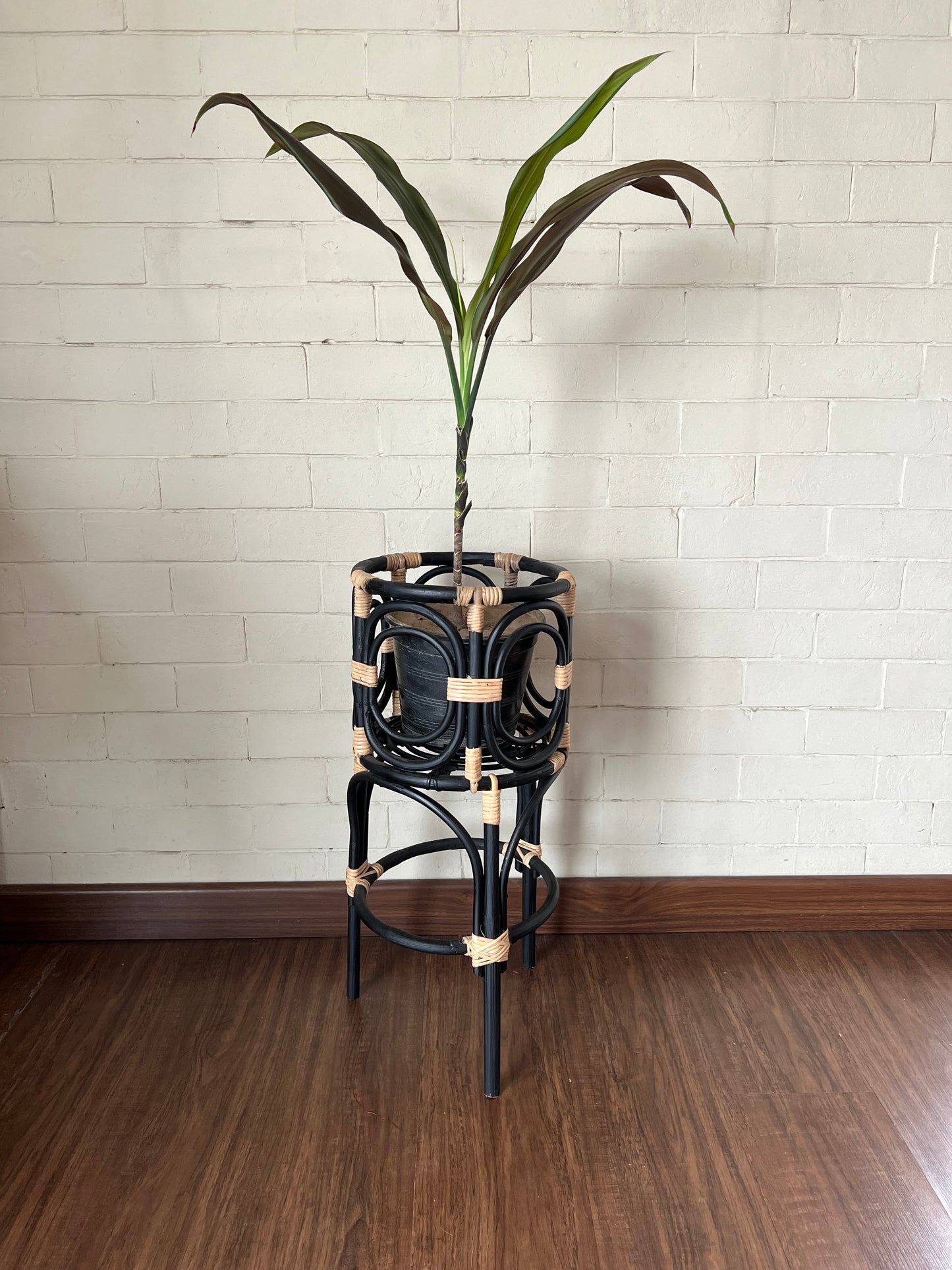 Black Loop Cane Planter