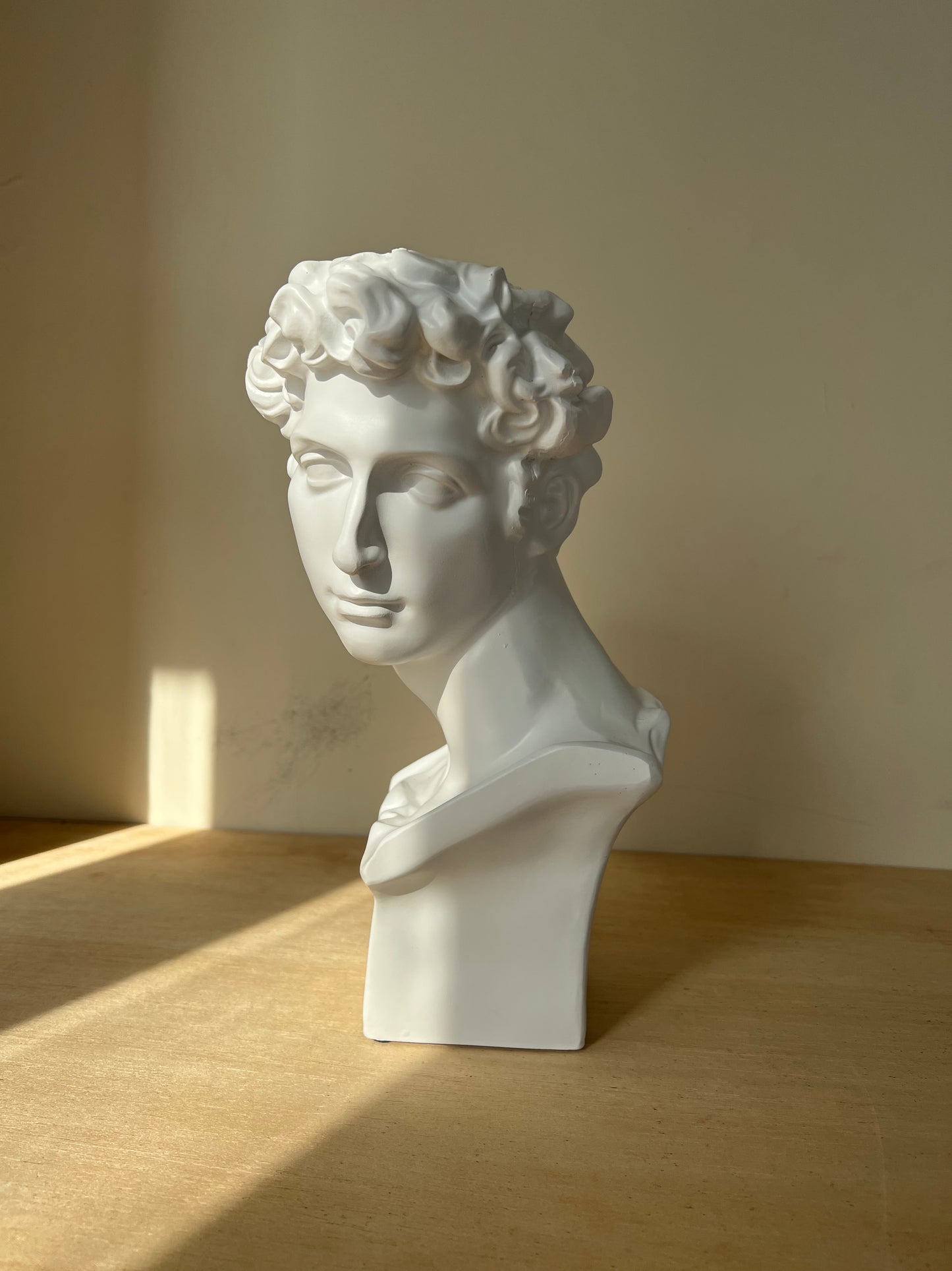 David Face Vase