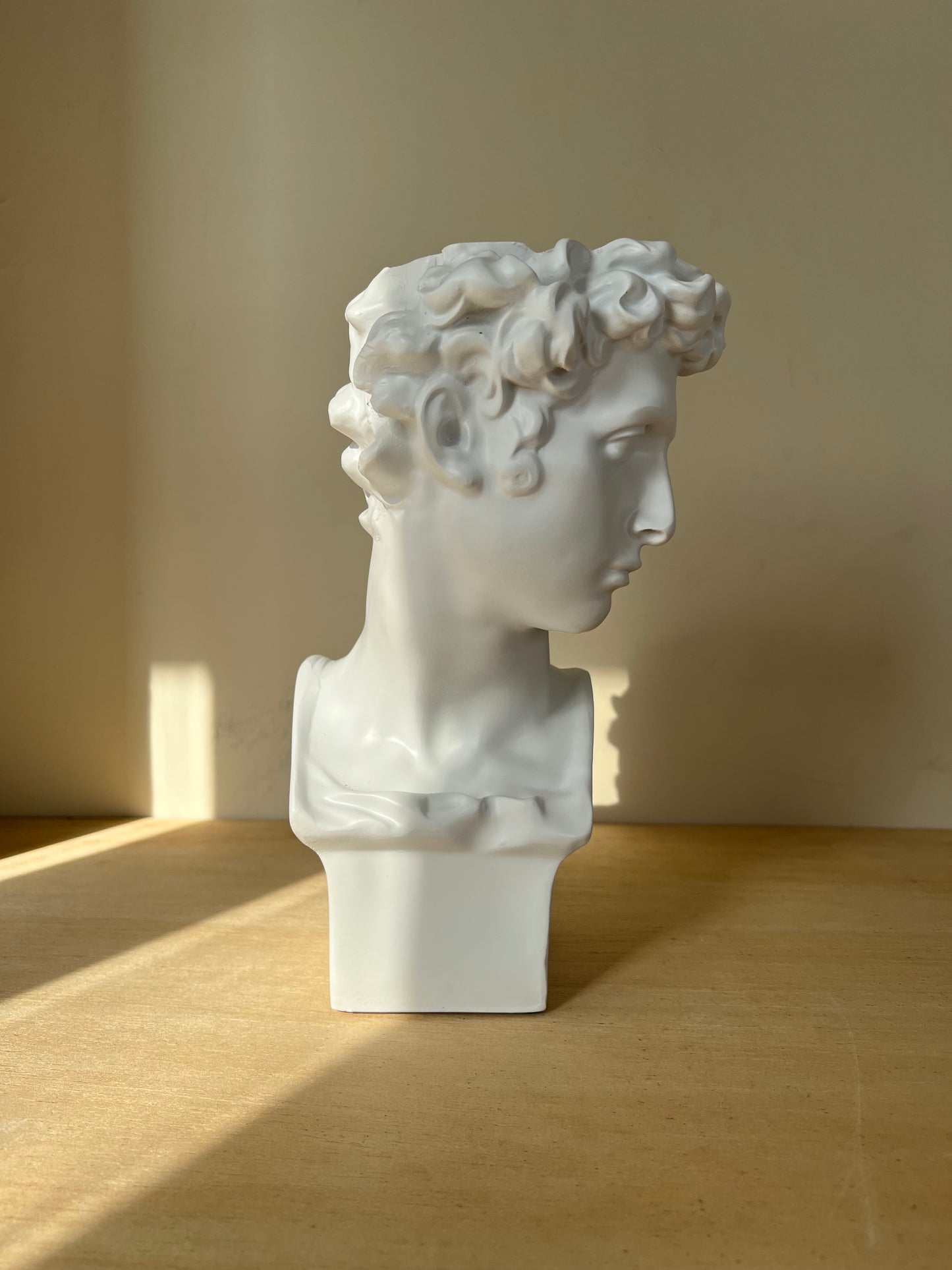 David Face Vase