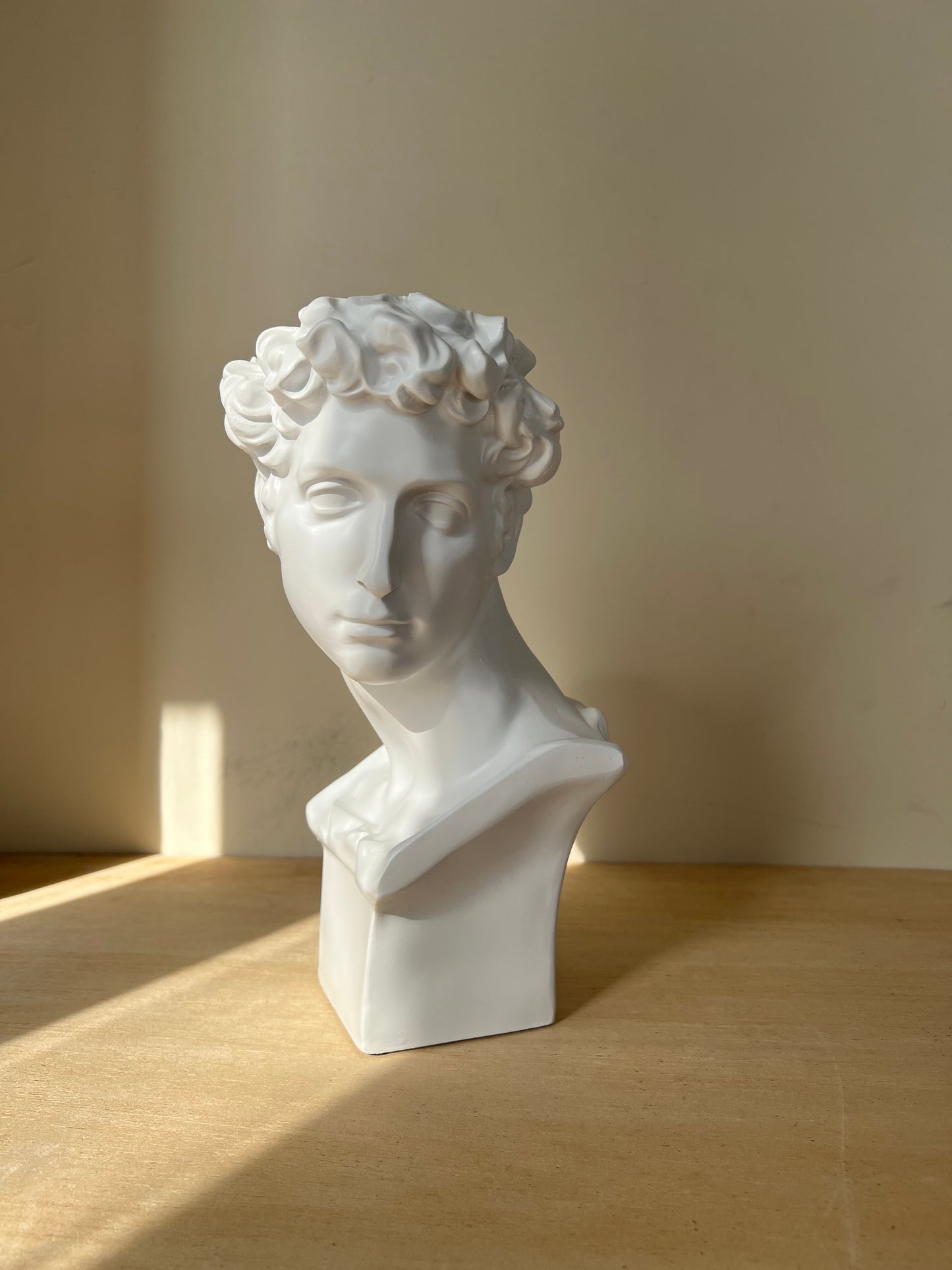 David Face Vase