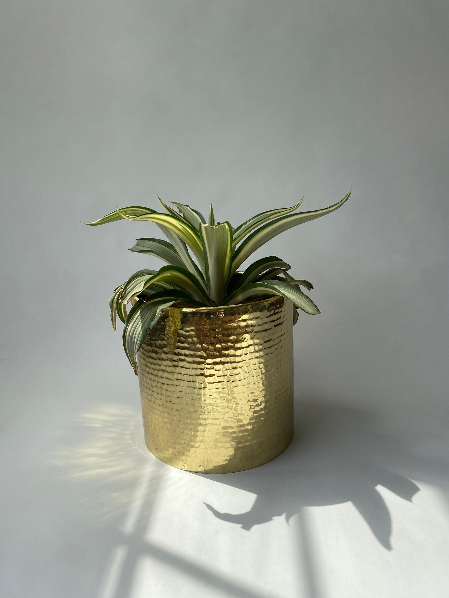 Hand hammered brass planters